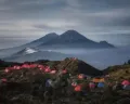 5 Alasan Mengapa Gunung Prau Cocok untuk Pendaki Pemula