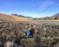 3 Pesona Gunung Merbabu, Keindahan Alam yang Mampu Menghipnotis Mata Pendaki. Bikin Betah!