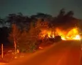 Selama Agustus, 72 Kasus Kebakaran Terjadi di Wilayah Kota Semarang, Didominasi Kebakaran Ilalang dan Rumput Kering