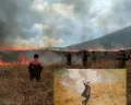 Curhat Pilu Pengusaha Sewa Jip di Gunung Bromo, Terancam Pensiun Gegara Kebakaran dan Kawasan Wisata Ditutup