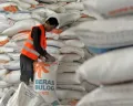 Ini Jadwal Penyaluran Bantuan Pangan Beras 10 Kg per Kecamatan di Kota Semarang, Bantuan Telur dan Daging Belum Ada Pentunjuk