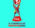 Link Live Score Ekuador vs Brazil di Piala Dunia U 17 Gratis Senin Hari Ini