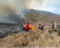 Kemenparekraf Sebut Kerugian Bromo Akibat Kebakaran Capai Rp 89,7 Miliar
