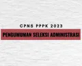 CPNS PPPK 2023: Cara Cek Pengumuman Seleksi Administrasi, Email atau Web?