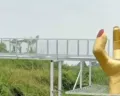 Wisata Hutan Pinus di Limpakuwus Tempat Insiden Jembatan Kaca Pecah akan Dibuka Kembali