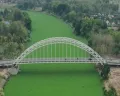 Sungai Bengawan Solo di Bojonegoro Penuh Enceng Gondok, Terlihat Indah tapi Berbahaya
