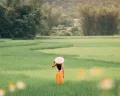 Tipe Kepribadian ISFP dan Karakteristiknya, Si Petualang yang Santai Namun Pekerja Keras