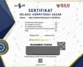 Wajibkah Peserta Ujian Download Sertifikat Hasil Tes SKD CPNS dan Seleksi Kompetensi PPPK?