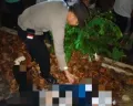 Pernah Periksakan Diri ke Poli Jiwa RS Kariadi, Mahasiswi Unwahas Semarang Diduga Tabrakan Diri ke Kereta Api