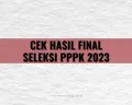Hasil Akhir PPPK 2023: Sudah 23 Desember, Sejumlah Instansi Ini Belum Ada Hilal Pengumuman