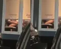 Viral Pasangan Mesum di Tempat Umum, Ini Deretan Fetish Tidak Lazim Diluar Nalar Termasuk Bermain Di Keramaian, Kok Ada?