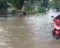 Tak Hanya Semarang, Jalur Onggorawe-Mranggen Demak juga Banjir