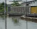 Warga Tlogosari Protes Selalu Kebanjiran saat Musim Hujan, Pompa Air Kali Tenggang Rusak?