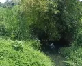 Pemkot Semarang Pastikan Pembebasan Lahan Normalisasi Sungai Plumbon Dimulai Desember