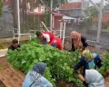 Pemkot Semarang Maksimalkan Lahan Tidur untuk Urban Farming