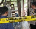 Ya Ampun, Bapak Kos di Semarang Tega Makan Daging Kucing