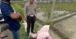 Polisi Sampai Melongo, Beredar Video Istri Tantrum di Tepi Sawah Gegara Suami Salah Beli Semir Rambut
